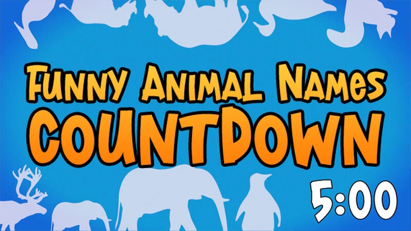Funny Animal Names Countdown